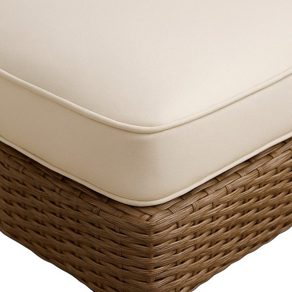 4.Rattan Chaise Lounge Chair with Armrest